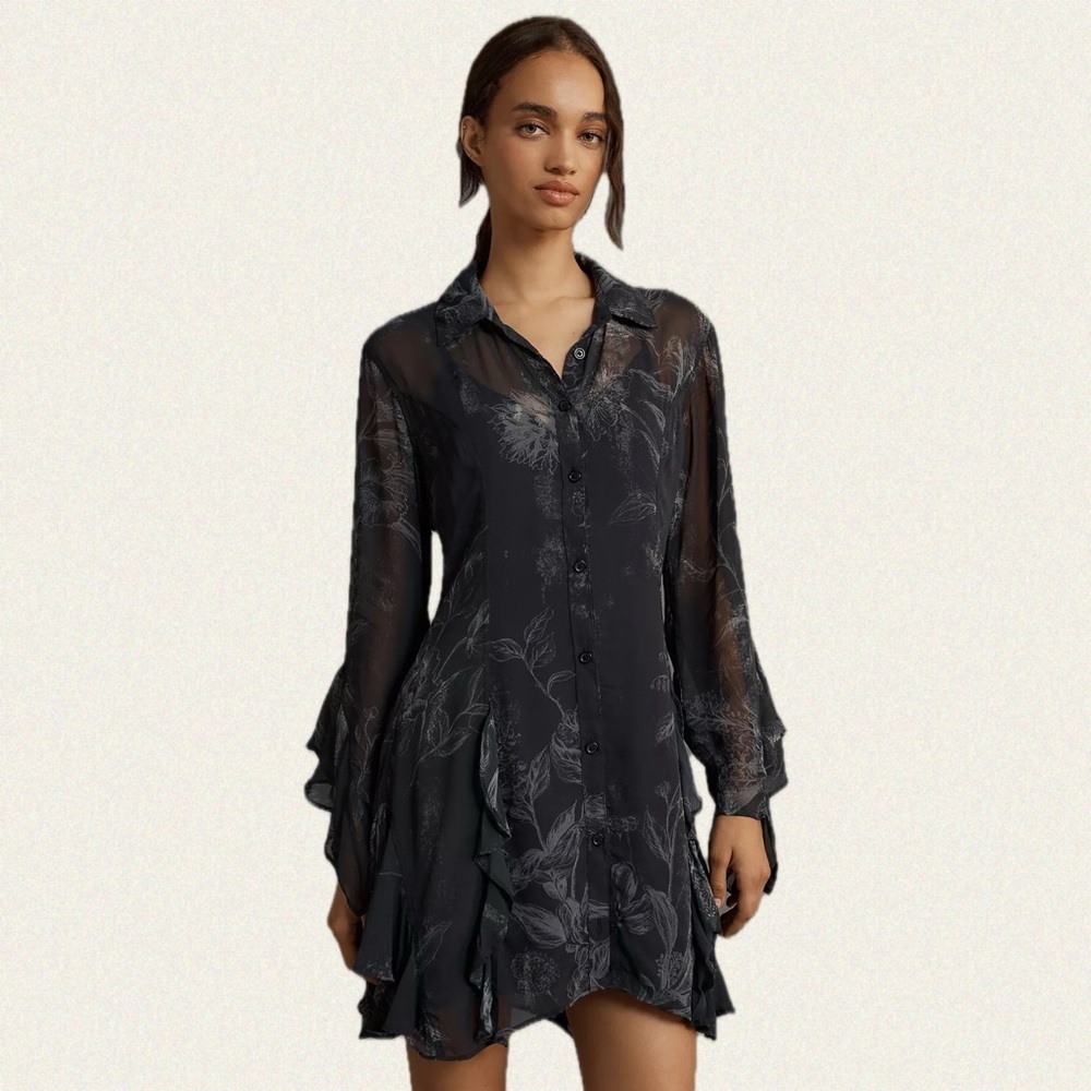Anthropologie Long-Sleeve V-Neck Sheer Mini Dress - Picture 3 of 8